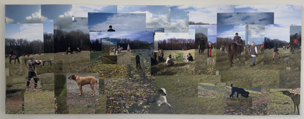 Image made of individual photos showing a pasture scene with dogs and horses